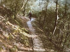 -西湖风景区十里琅珰-五云山