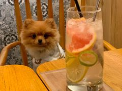 -森Some Fusion(荔湾店)