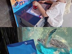 -石家庄海洋公园