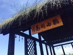 -溱湖国家湿地公园