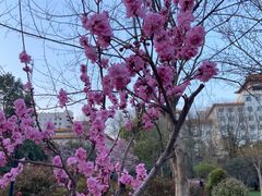 -经纬广场