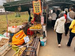 -明仕田园