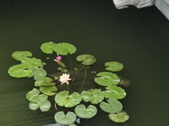 -卓刀泉寺