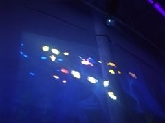 -临沂极地海洋王国