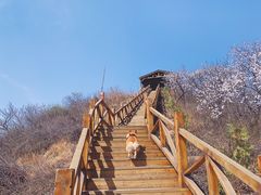 -大岭沟猕猴桃谷风景区