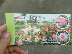 -上海鲜花港