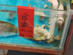 -大笑饭堂(甲子桥店)