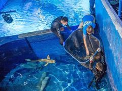 -沈阳海洋探索中心