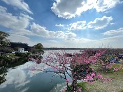 -上海海湾国家森林公园