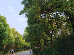 -南京市江宁方山