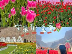 -河南宝泉旅游区