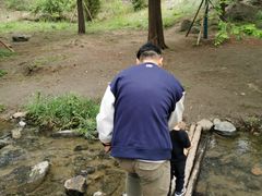 -白水寺森林公园