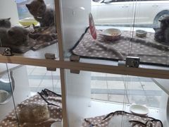 -听TA说宠咖·宠物生活馆(天韵水岸店)