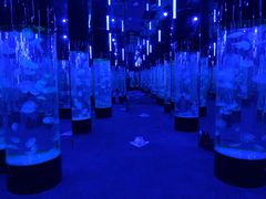 -成都浩海立方海洋公园