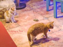 -Sirena海妖日咖夜酒