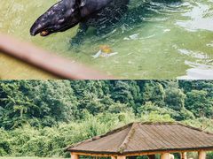 -杭州野生动物世界