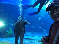 -华夏文旅海洋公园