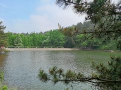 -四明山国家森林公园