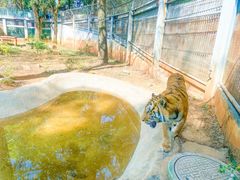-昆明动物园