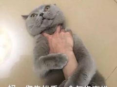 -沪公子·炭火蛙(303生活广场店)