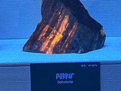 -湖南省地质博物馆