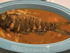 -阿五黄河大鲤鱼(海尚店)