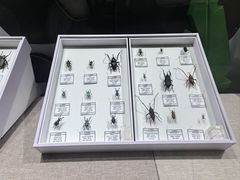 -烟台市博物馆