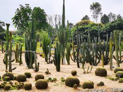 -东莞植物园