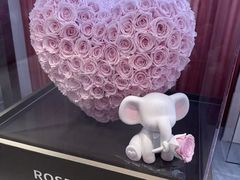 -ROSEONLY诺誓(广州K11店)