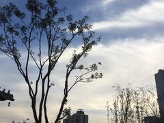 -迎泽公园