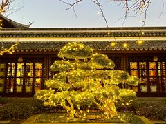 -杭州西子湖四季酒店·金沙厅