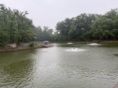 -秦皇岛野生动物园
