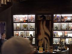 -雪灵魔法世界SHELLY’S TAROT(大良桂畔里店)