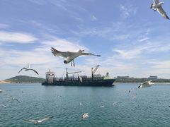 -海驴岛(荣成市)