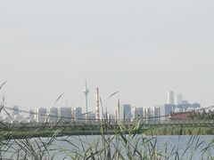 -西青郊野公园