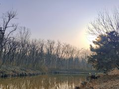-塘沽森林公园