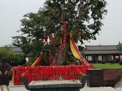 -西安汉城湖景区