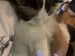 -白兔子密室(长寿路店)