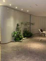 -广州美莱医疗美容医院