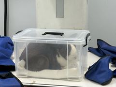 -爱侣宠医·鹦鹉专科·小型哺乳类·异宠专科(灵石路店)