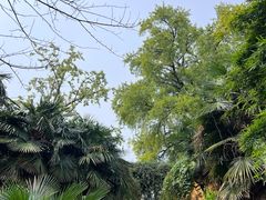 -苏州上方山国家森林公园