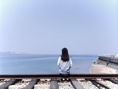 -海堤纪念公园