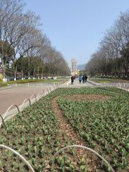 -玄武湖景区-情侣园游乐场