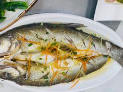 -源水鱼庄·翘嘴鲌店·老字号