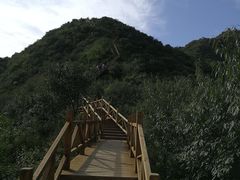 -大岭沟猕猴桃谷风景区