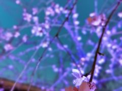 -和平门菜市场