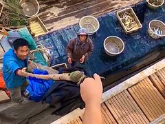 -东疆建设开发纪念公园