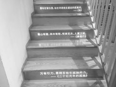 -猫的天空之城概念书店(苏州平江店)