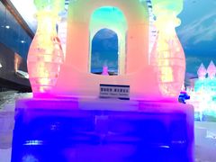 -世界之窗阿尔卑斯冰雪世界
