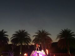 -清迈夜间动物园